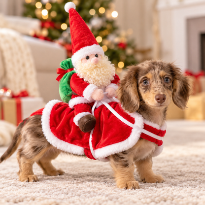 Santa Rider Pet Costume