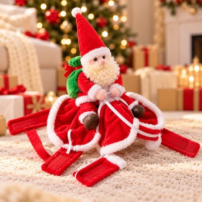 Santa Rider Pet Costume