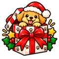 Mystery Gift